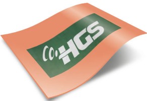 HGS SORGULAMA