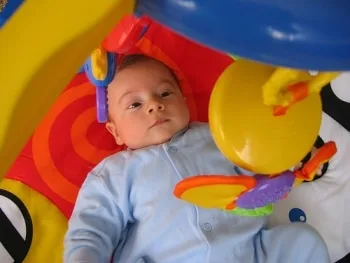 Bez ve Mama Para Yardımı