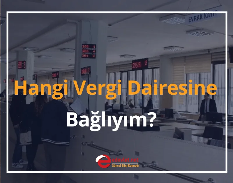 Hangi Vergi Dairesine Bağlıyım? 2024 İnteraktif Vergi Dairesi