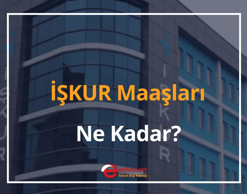 İŞKUR Maaşları Ne Kadar? 2024 İŞKUR Maaşları Ne Zaman Yatar?
