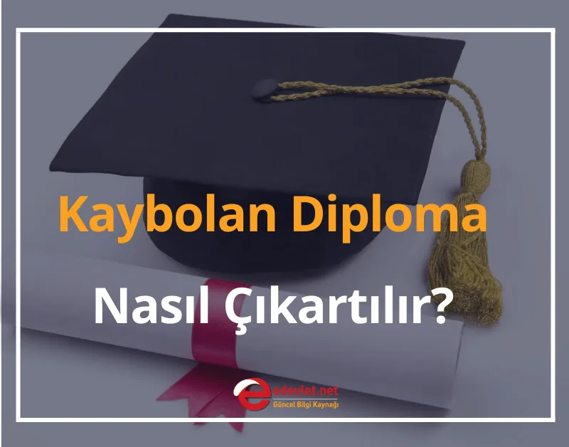 Diplomamı Kaybettim! 2024 Kaybolan Diploma Nasıl Çıkartılır?