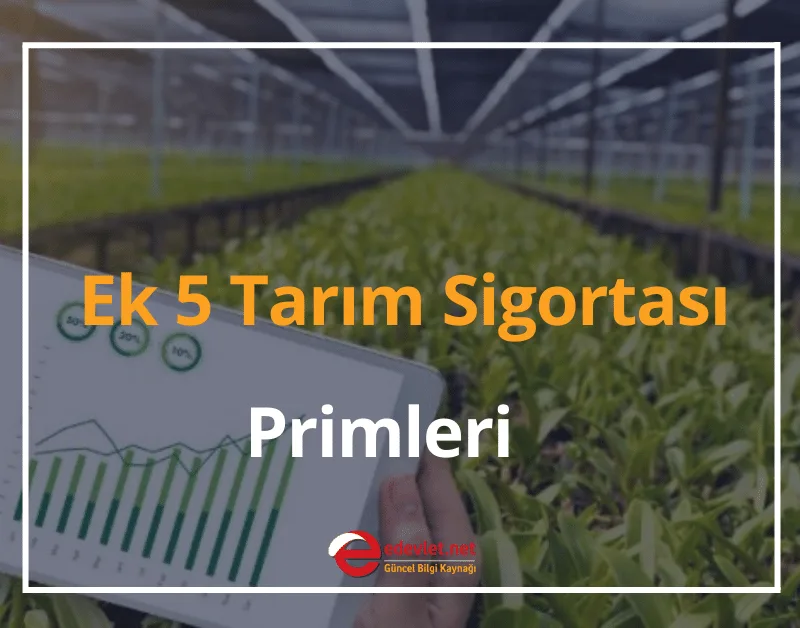 Ek 5 Tarım Sigortası Primleri Ne Kadar? 2024 Tarım Sigortası Emeklilik Şartları ve Maaşı