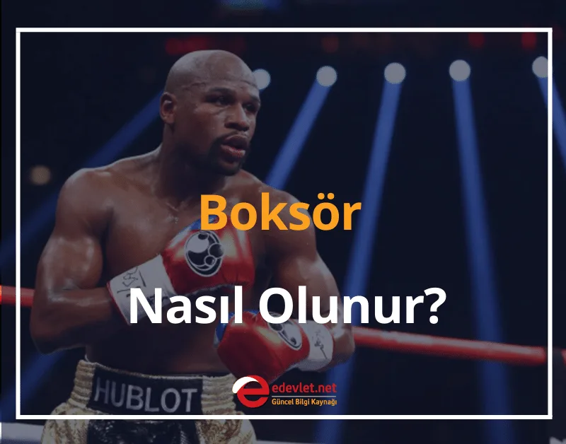 Boksör Nasıl Olunur? 2024 Boksör Maaşları - Boksör Lisans Sorgulama