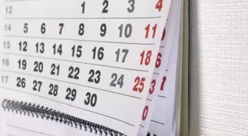 Süt Parası Ne Zaman Yatırılır?