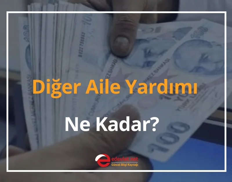 e-Devlet Diğer Aile Yardımı Nedir? Ne Kadar? 2024 Başvuru Sorgulama