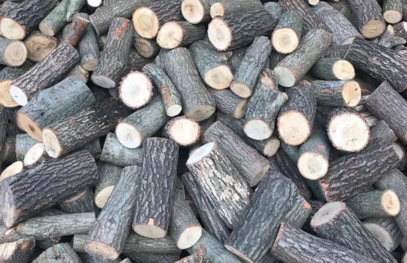 Sobalık odun fiyatları