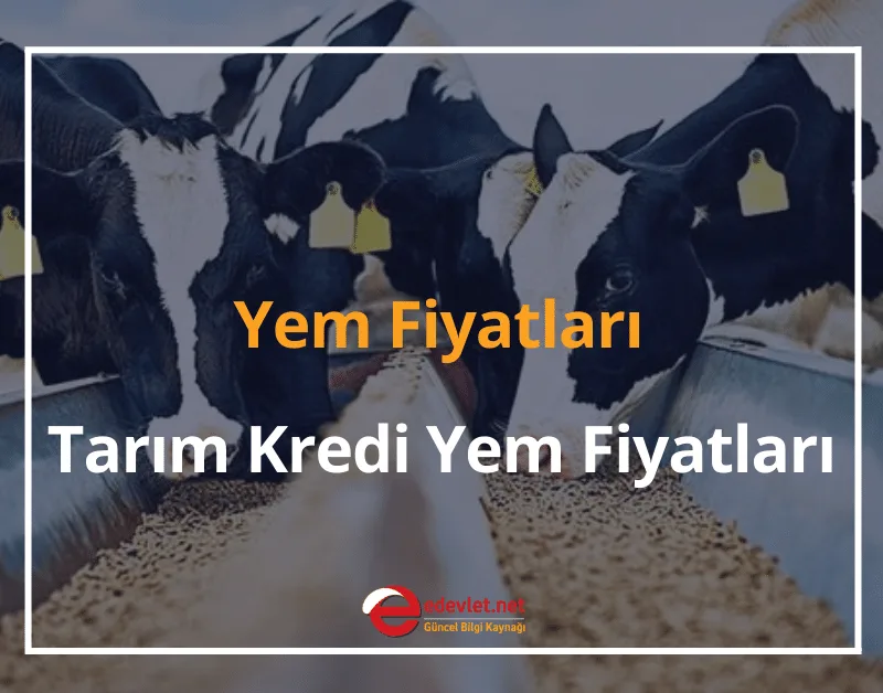Tarım Kredi Yem Fiyatları 2024 Zamlı Tarım Kredi Yem Fiyatları