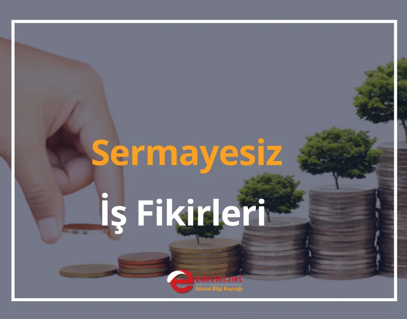 Sermayesiz İş Fikirleri 2024 Hiç Paran Yoksa Bu İşler Tam Sana Göre