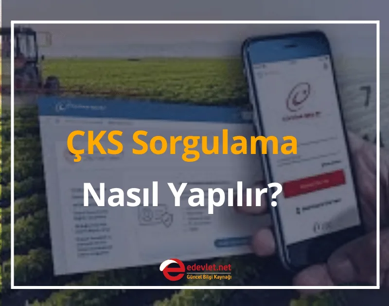 ÇKS Nedir? 2024 e-Devlet ÇKS Sorgulama Nasıl Yapılır?