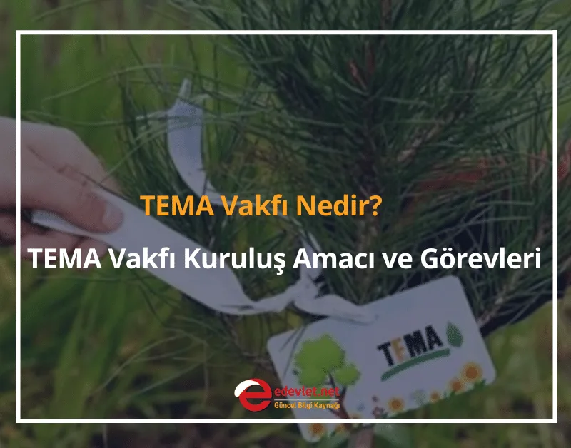 TEMA Vakfı Nedir? TEMA Vakfı Kuruluş Amacı ve Görevleri Nelerdir? 2024