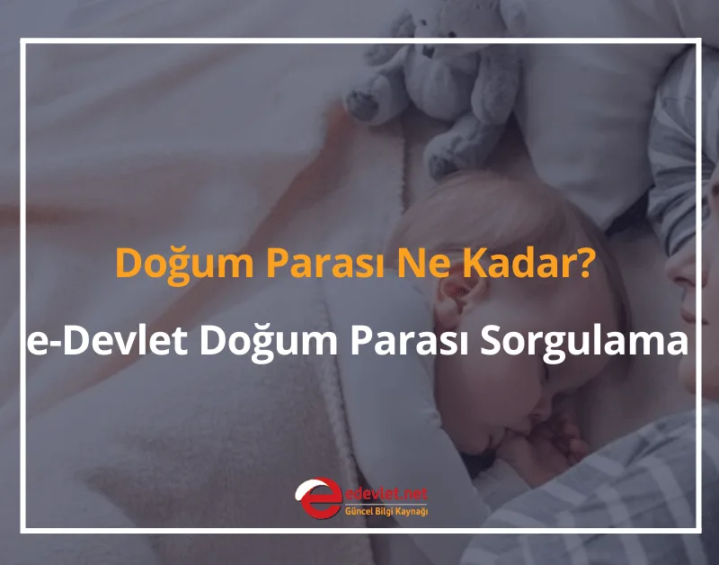 Doğum Parası Ne Kadar? 2024 e-Devlet Doğum Parası Sorgulama