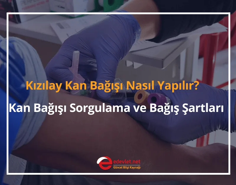Kızılay Kan Bağışı Nasıl Yapılır? 2024 Kan Bağışı Sorgulama ve Bağış Şartları