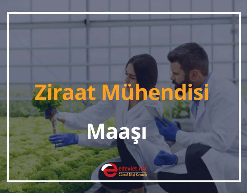 Ziraat Mühendisi Ne İş Yapar? Maaşı 2025