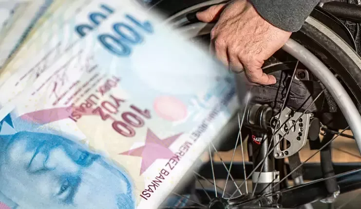 T.C No ile Engelli Maaşı Sorgulama 2024