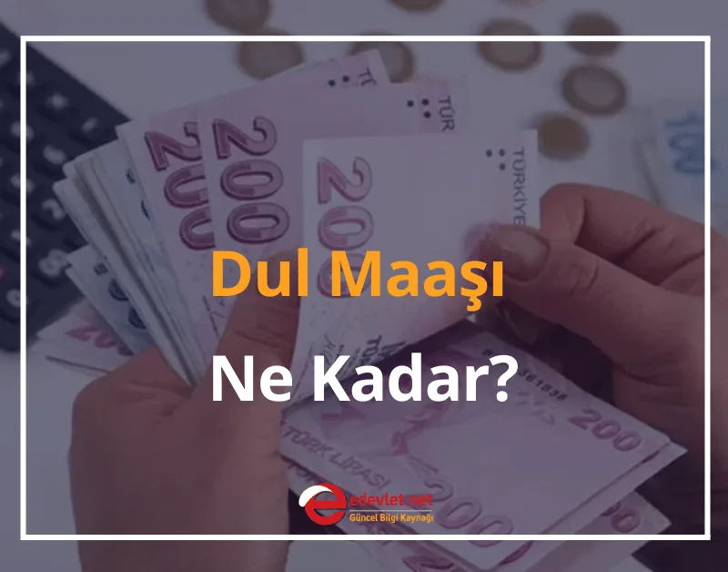 2024 Dul Maaşı Ne Kadar? Dul Maaşı Şartları