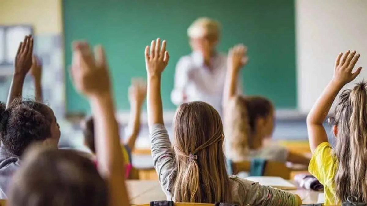 Eğitim Türleri Nelerdir? 2024 Örgün, Uzaktan, İkinci, Açık Öğretim Nedir?