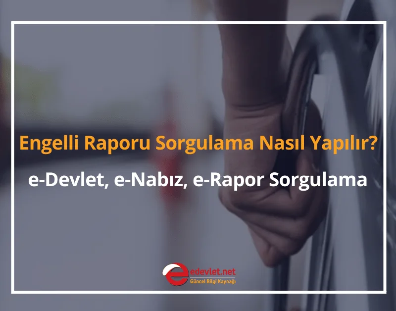 Engelli Raporu Sorgulama Nasıl Yapılır? 2024 e-Devlet, e-Nabız, e-Rapor Sorgulama