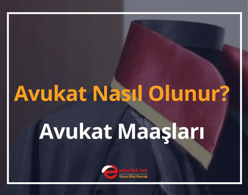 Avukat Nasıl Olunur? 2024 Avukat Maaşları (Zamlı)