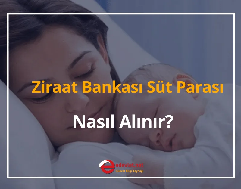 Ziraat Bankası Süt Parası Sorgulama 2024 Süt Parası Nasıl Alınır?