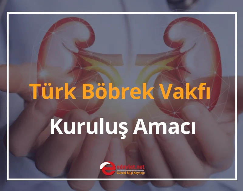Türk Böbrek Vakfı Nedir? Türk Böbrek Vakfı İletişim 2024