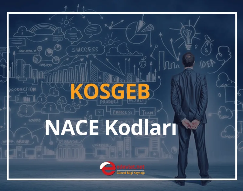 KOSGEB Desteklenen Sektörler 2024 KOSGEB NACE Kodları