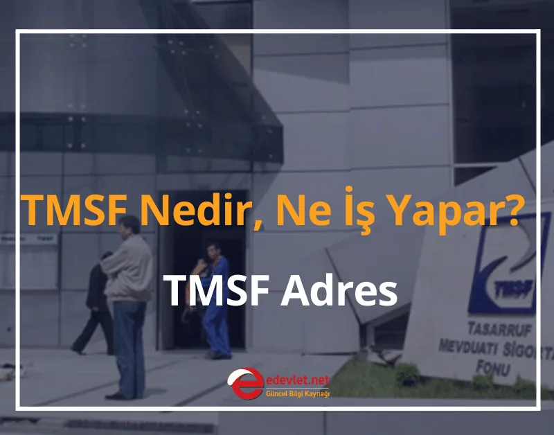 TMSF Nedir, Ne İş Yapar? TMSF Adres 2024