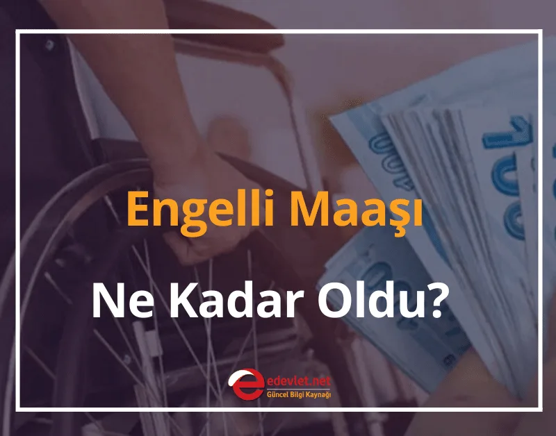 Engelli Maaşı Ne Kadar Oldu? 2024 Zamlı Engelli Maaşları