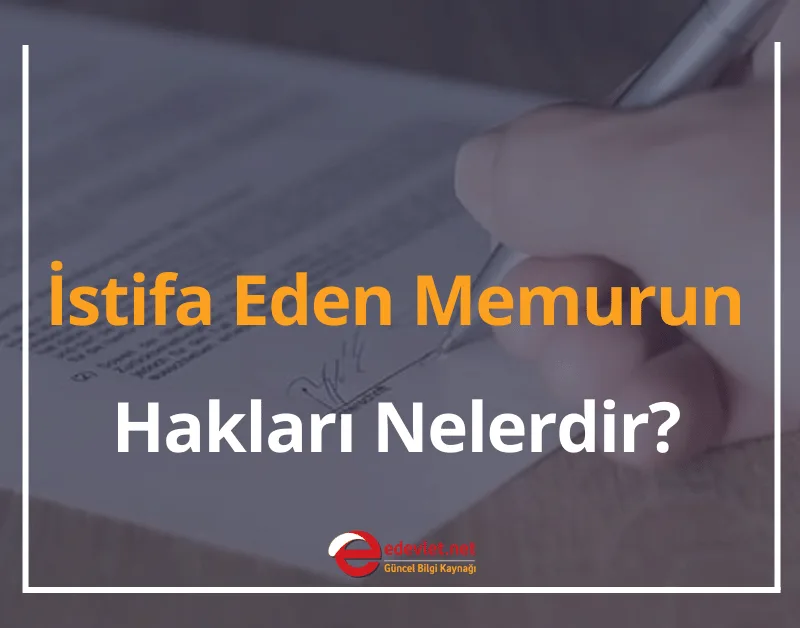İstifa Eden Memurun Hakları Nelerdir? 2024 İstifa Dilekçesi Örneği