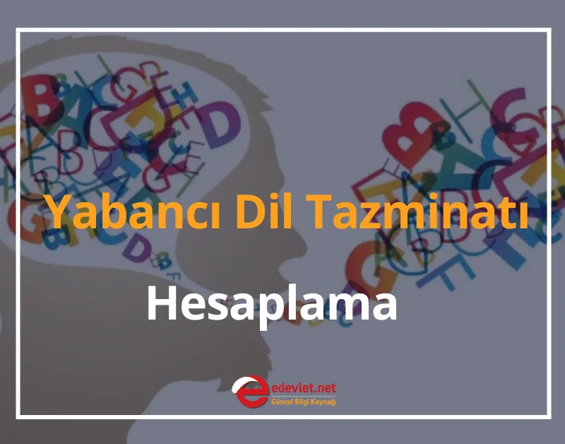 Yabancı Dil Tazminatı Hesaplama 2024 Kimlere Ödenir? Zamlı Dil Tazminatı Ne Kadar?