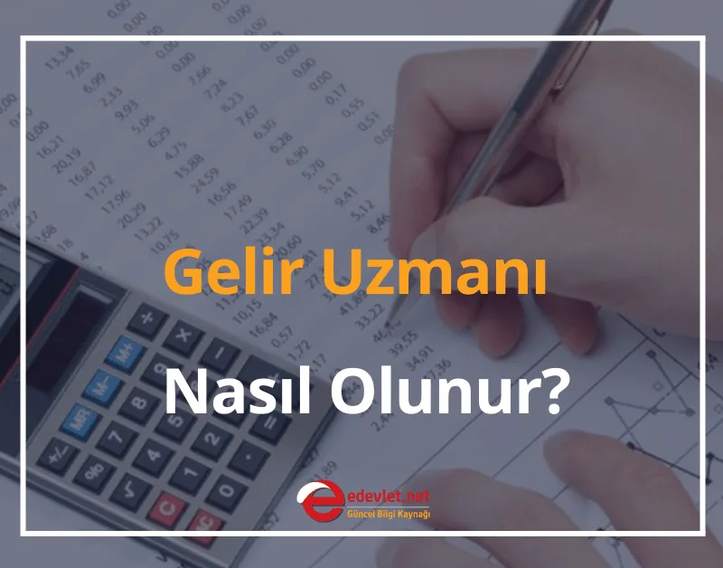Gelir Uzmanı ve Yardımcısı Nasıl Olunur? 2024 Gelir Uzmanı Maaşı