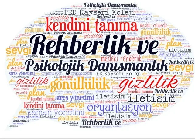 PDR Nedir, Ne İş Yapar