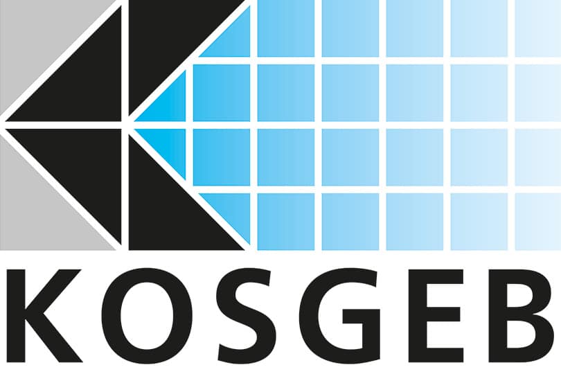 KOSGEB Nitelikli Eleman Desteği Nedir? (Güncel Başvuru Şartları)