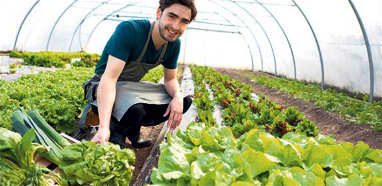genç çiftçi projesi: hibe şartları, başvuru ve sonuçlar