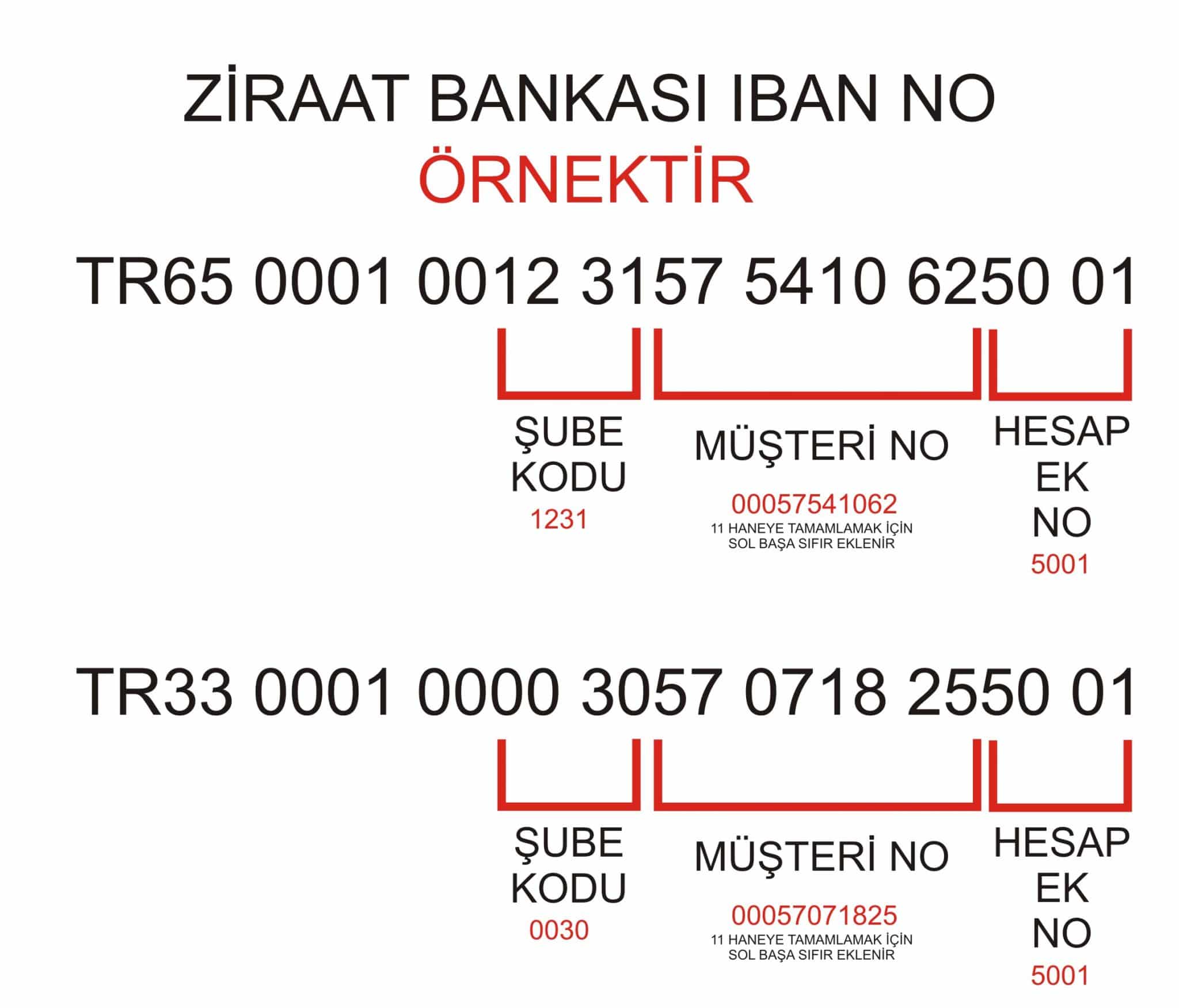 IBAN Numarasının Kime Ait Olduğunu Nasıl Öğrenebilirim? 2023 - edevlet.net