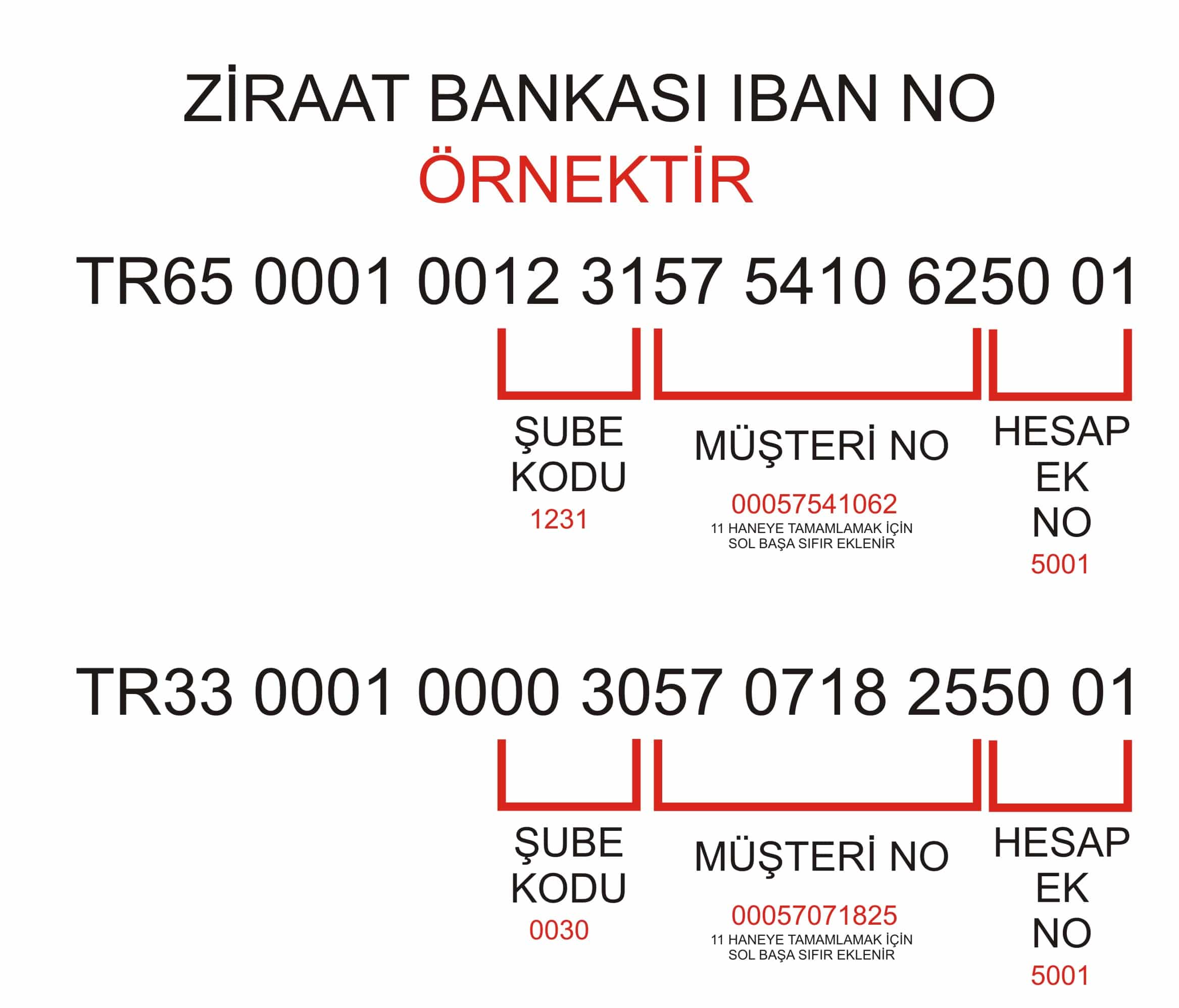 bahıs sıtelerı IBAN Numarasının Kime Ait Olduğu Öğrenilebilir Mi?