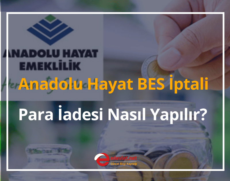 anadolu hayat bes i̇ptali