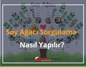 Soy Ağacı Sorgulama Nasıl Yapılır? 2024 e-Devlet Sorgulama
