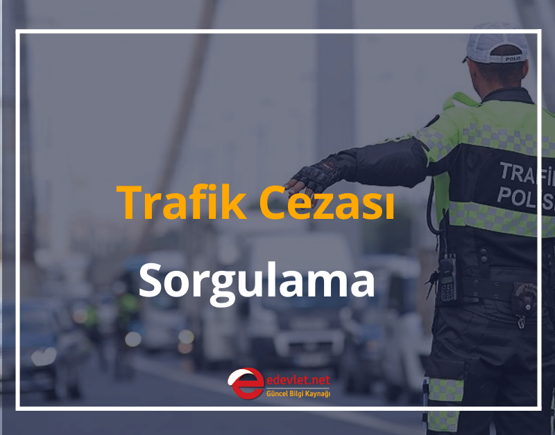 trafik cezası sorgulama