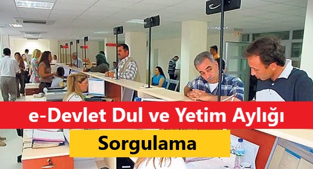 e-Devlet Dul ve Yetim Aylığı Sorgulama