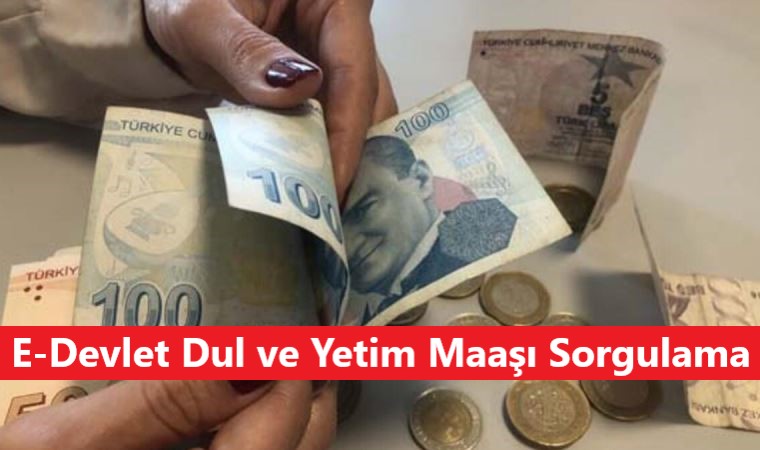 e-Devlet Dul ve Yetim Maaşı (Aylığı) Sorgulama