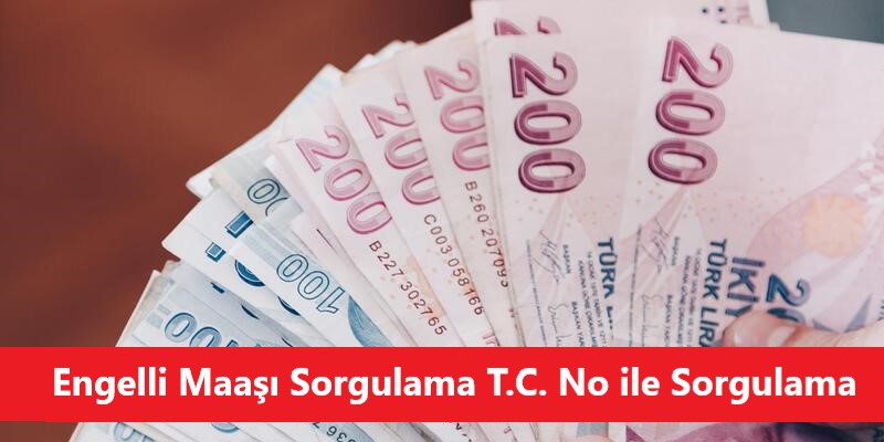 Engelli Maaşı Sorgulama Telefonla ve T.C. No ile Sorgulama