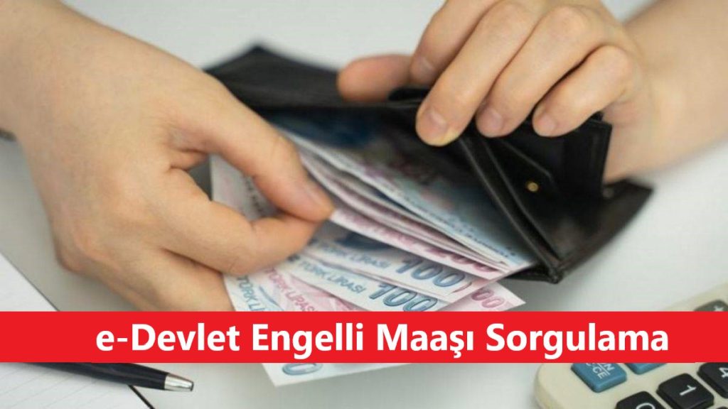 e-Devlet Engelli Maaşı Sorgulama