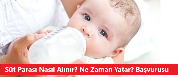 süt parası nasıl alınır? ne zaman yatar? başvurusu