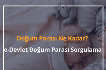 Doğum Parası Ne Kadar? 2024 e-Devlet Doğum Parası Sorgulama 2 Doğum Parası
