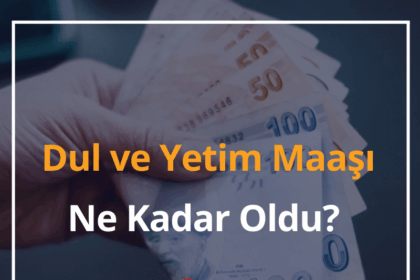 Dul ve Yetim Maaşı Ne Kadar Oldu? 2024 e-Devlet Dul ve Yetim Aylığı Sorgulama 8 Dul ve Yetim Maaşı