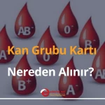kan grubu kartı
