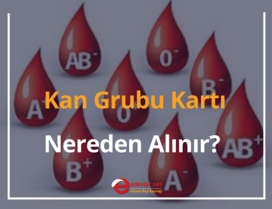 kan grubu kartı