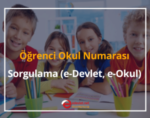 Öğrenci Okul Numarası Öğrenme ve Sorgulama 2024 (e-Devlet, e-Okul)