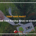 tema vakfı