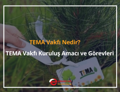 tema vakfı
